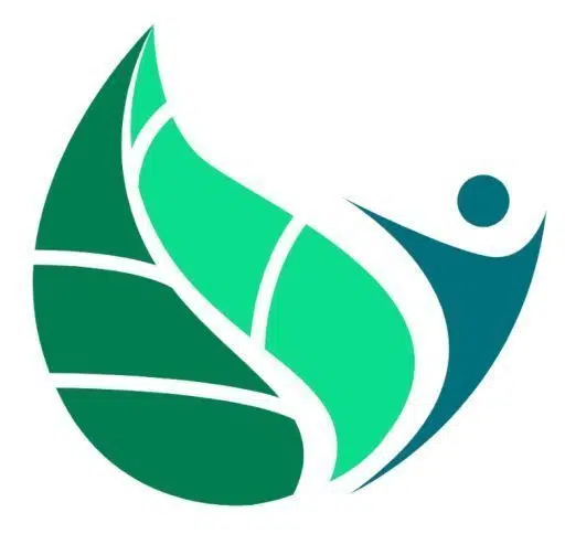 logo de Chemin vital naturopathe à sainte geneviève des bois