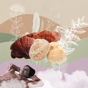 Les champignons peuvent vous aider à mieux dormir